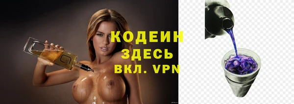 хмурый Белокуриха