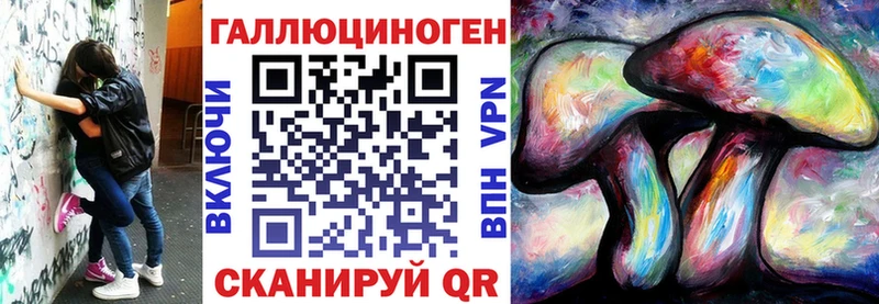 закладки  Видное  Галлюциногенные грибы Psilocybine cubensis 