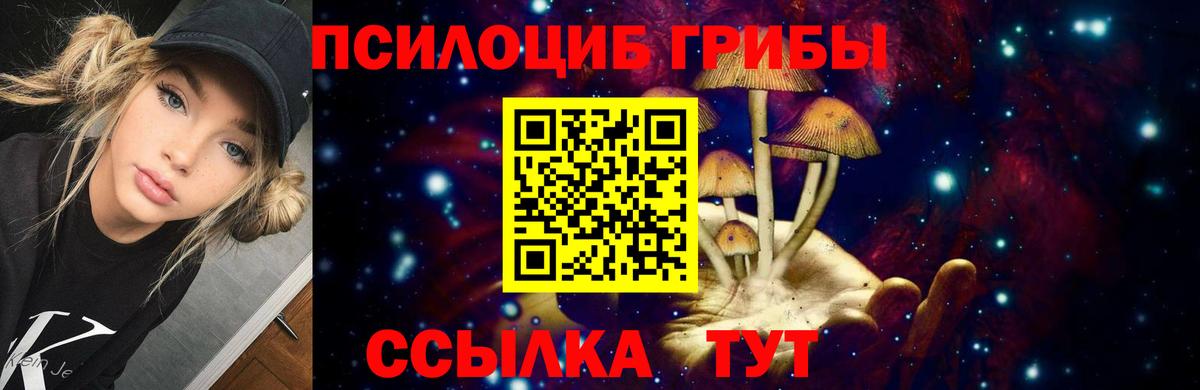 купить наркотики сайты  Видное  Псилоцибиновые грибы ЛСД 